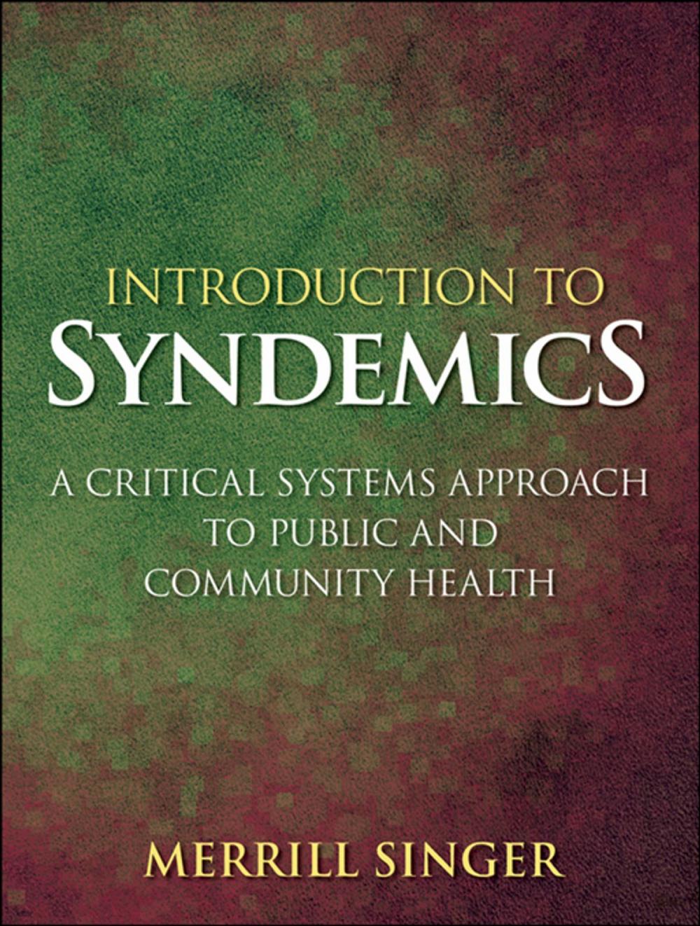 Big bigCover of Introduction to Syndemics