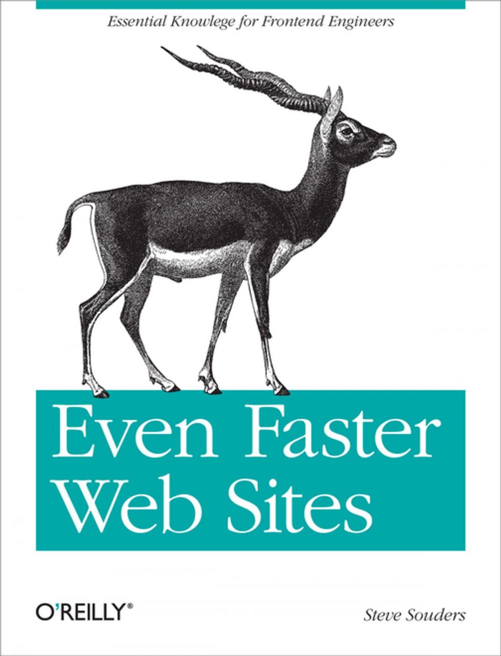 Big bigCover of Even Faster Web Sites