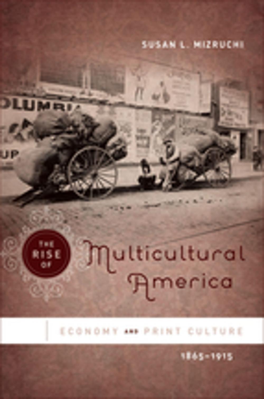 Big bigCover of The Rise of Multicultural America