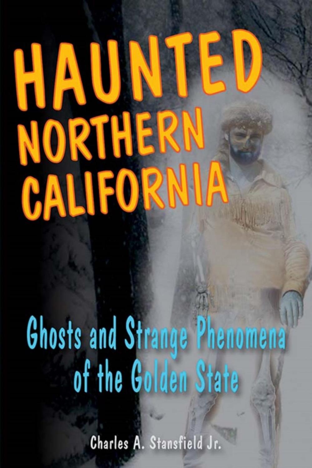 Big bigCover of Haunted Northern California