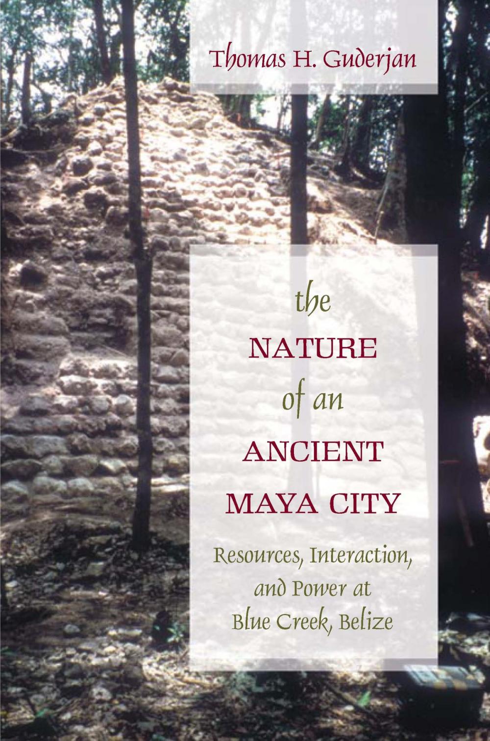 Big bigCover of The Nature of an Ancient Maya City