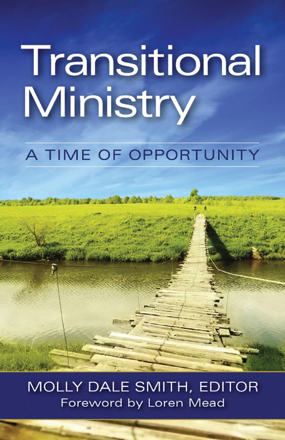 Big bigCover of Transitional Ministry