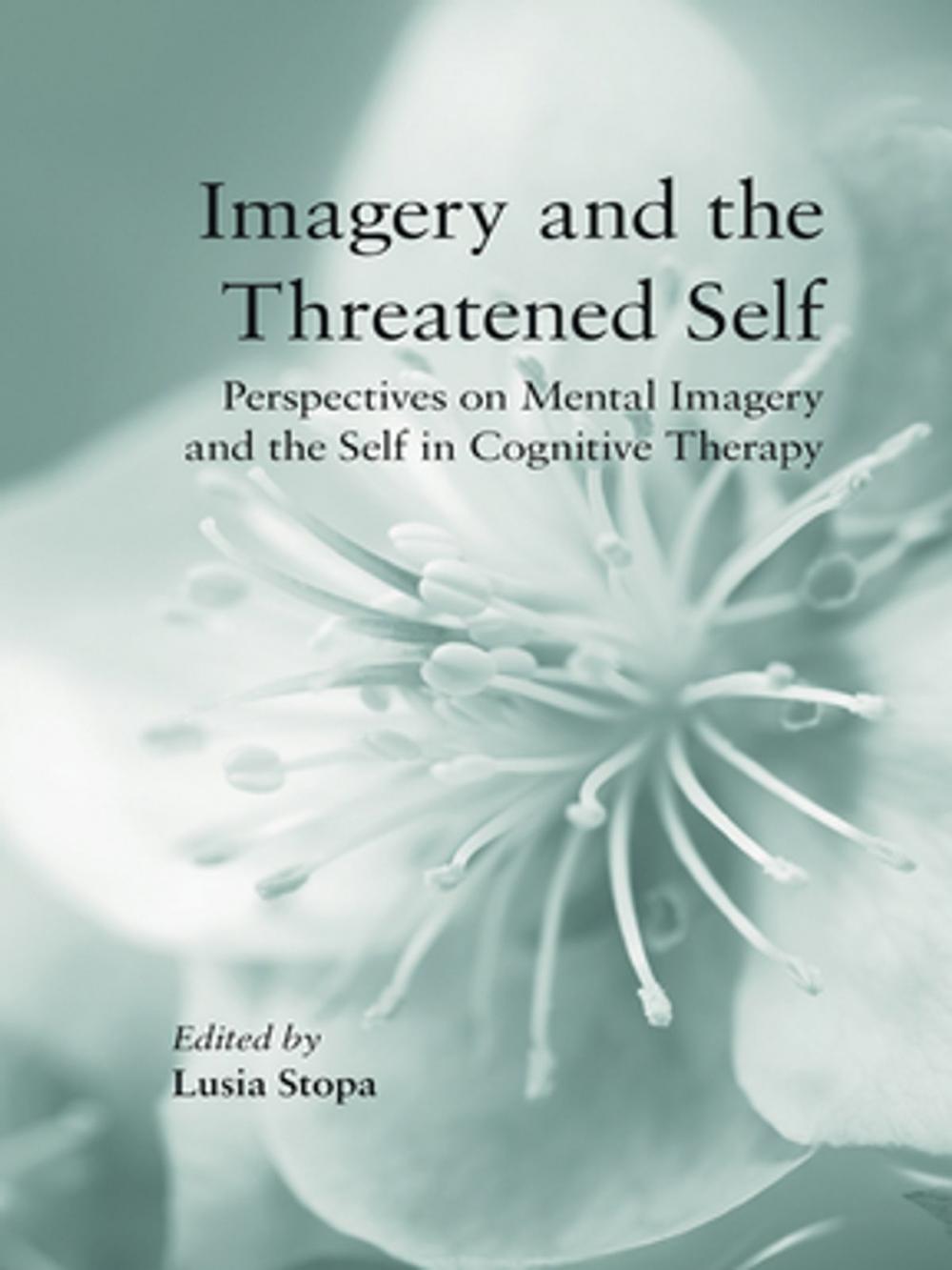 Big bigCover of Imagery and the Threatened Self