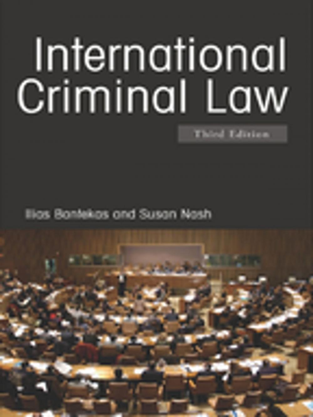 Big bigCover of International Criminal Law