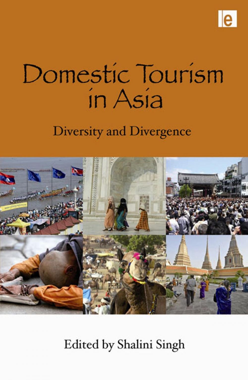 Big bigCover of Domestic Tourism in Asia