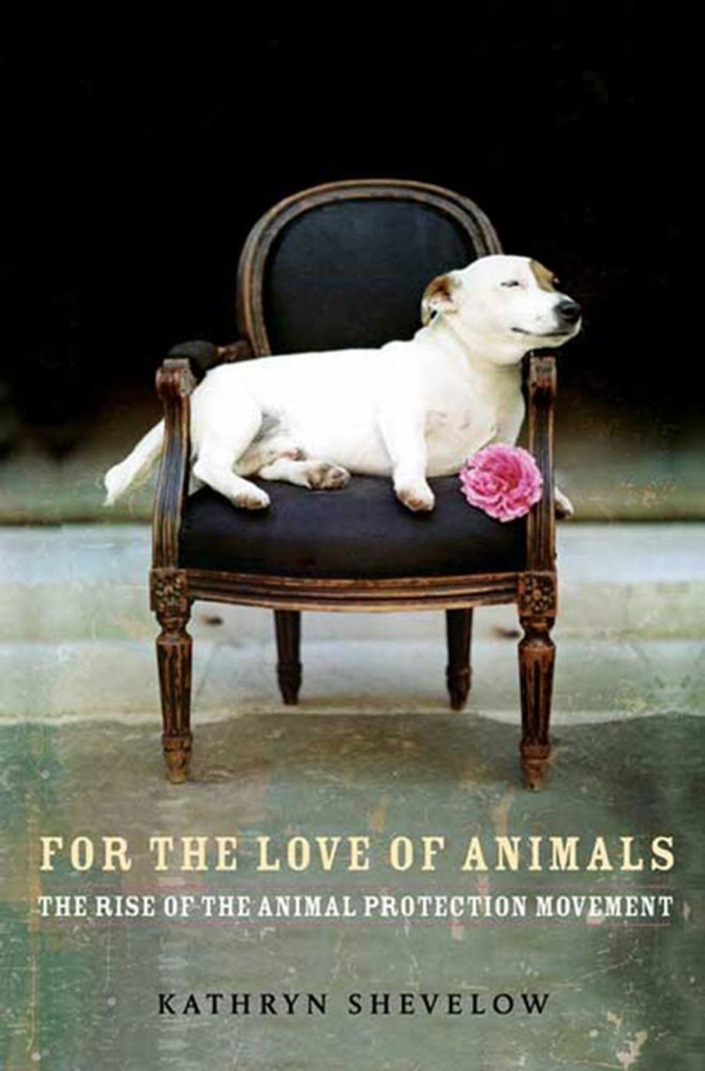 Big bigCover of For the Love of Animals