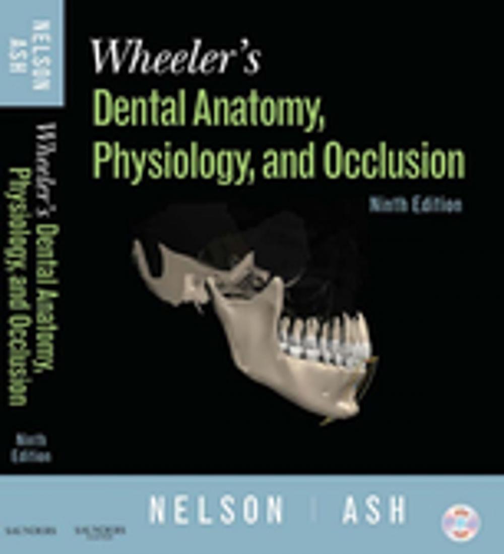 Big bigCover of Wheeler's Dental Anatomy, Physiology and Occlusion