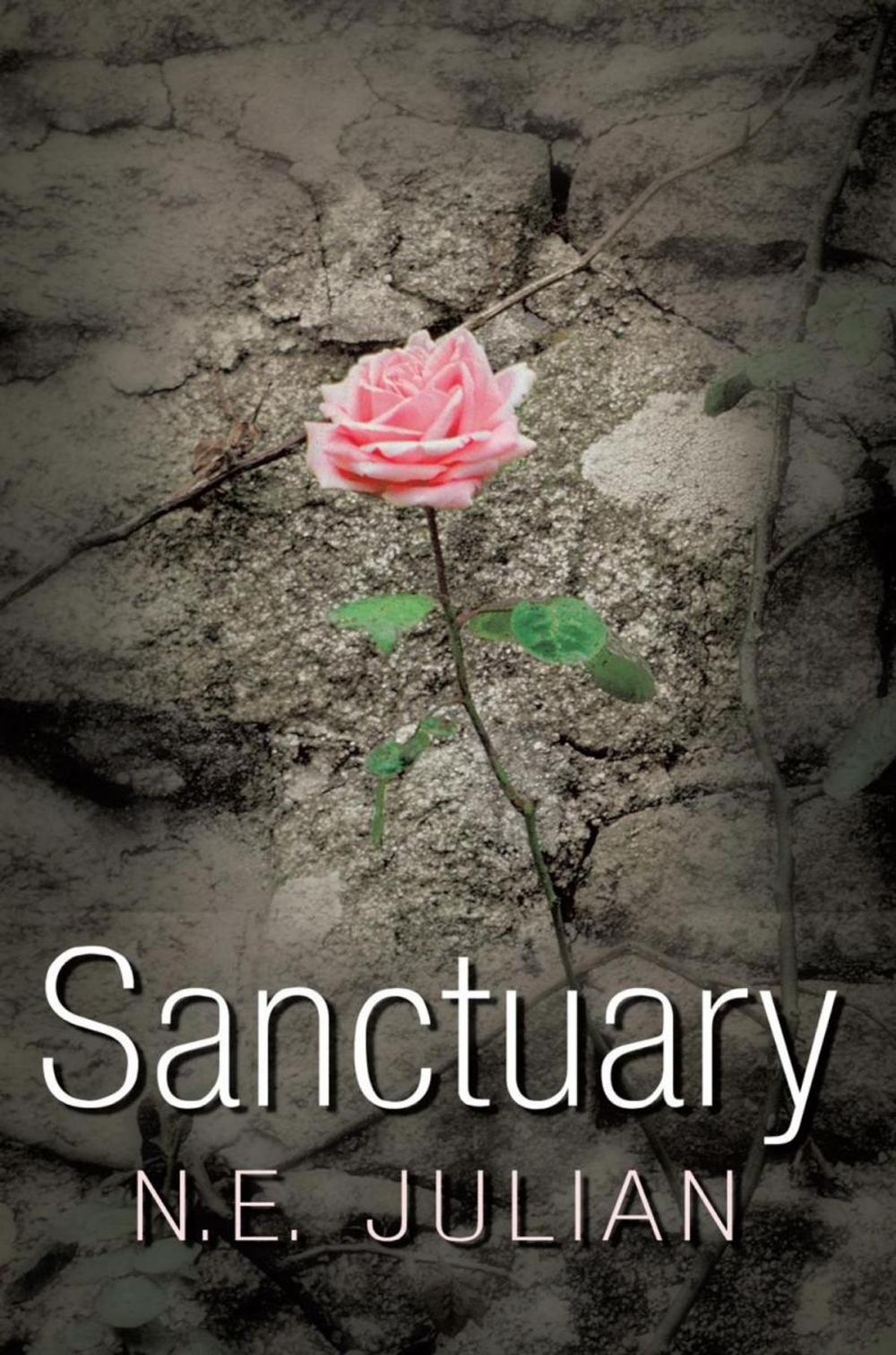 Big bigCover of Sanctuary