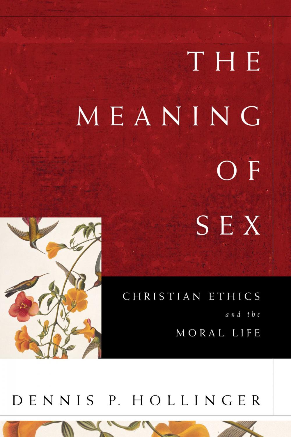 Big bigCover of The Meaning of Sex