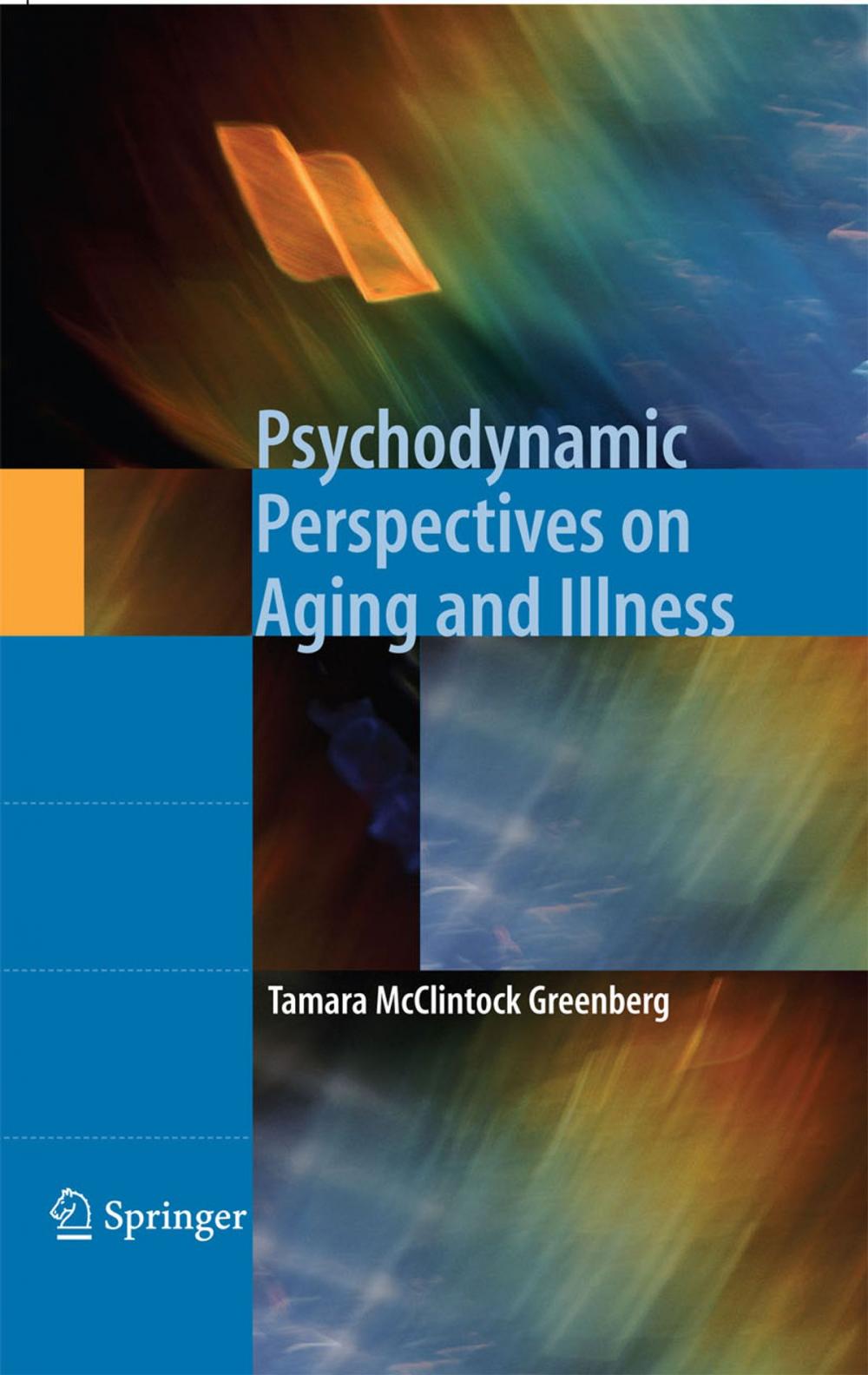 Big bigCover of Psychodynamic Perspectives on Aging and Illness