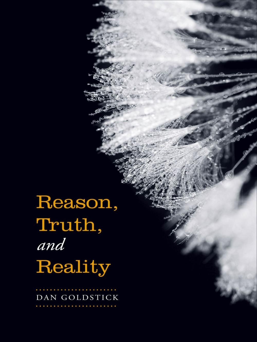 Big bigCover of Reason, Truth and Reality