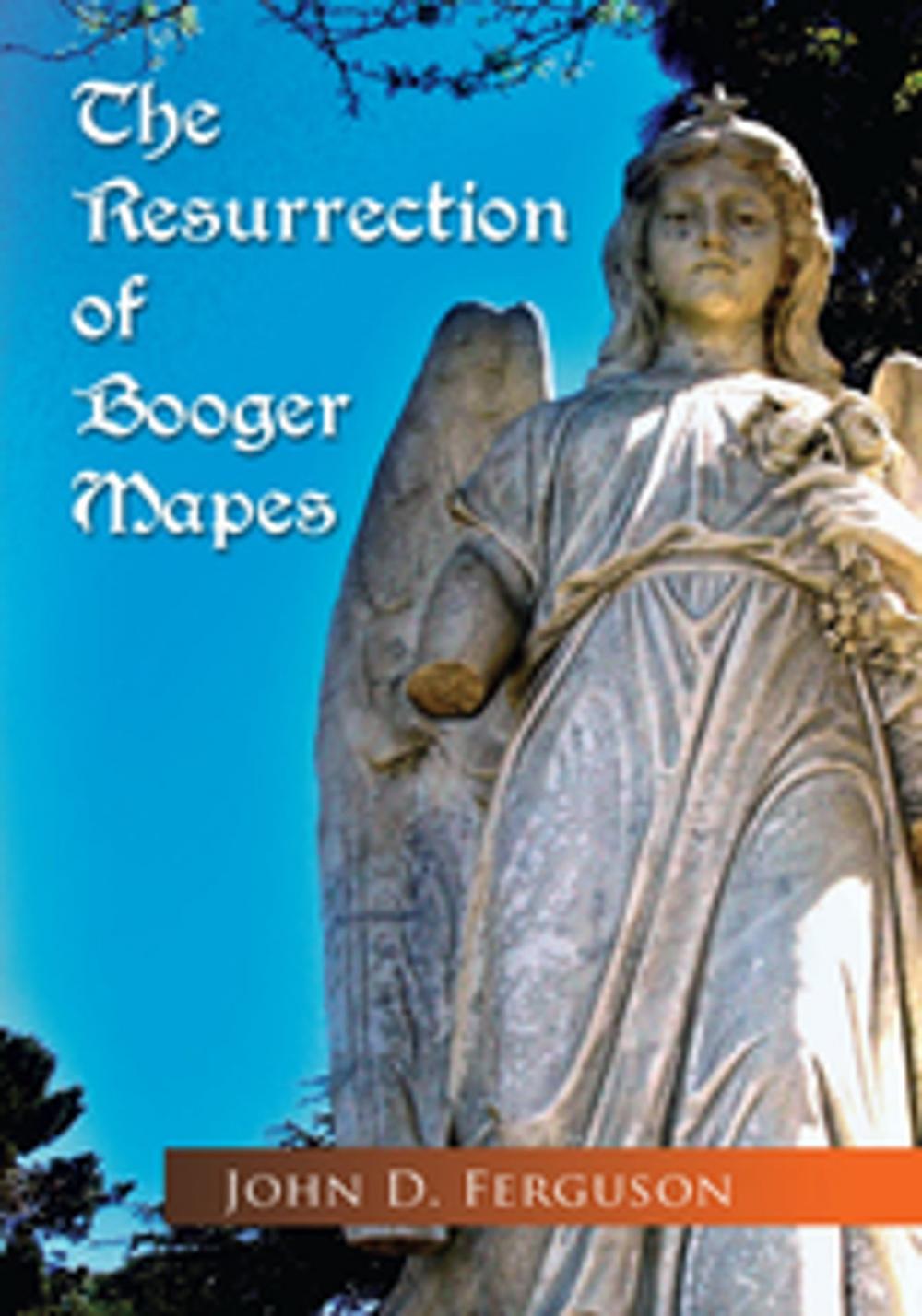 Big bigCover of The Resurrection of Booger Mapes