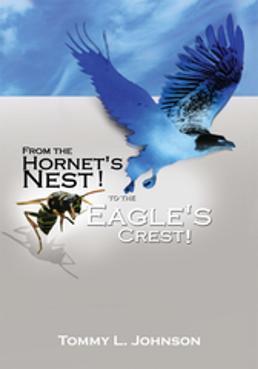 Big bigCover of From the Hornet's Nest