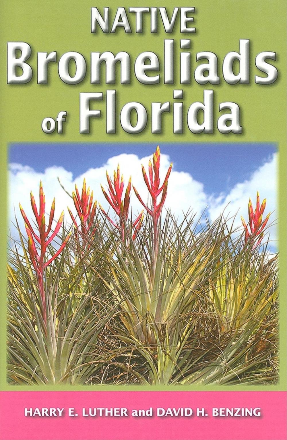 Big bigCover of Native Bromeliads of Florida