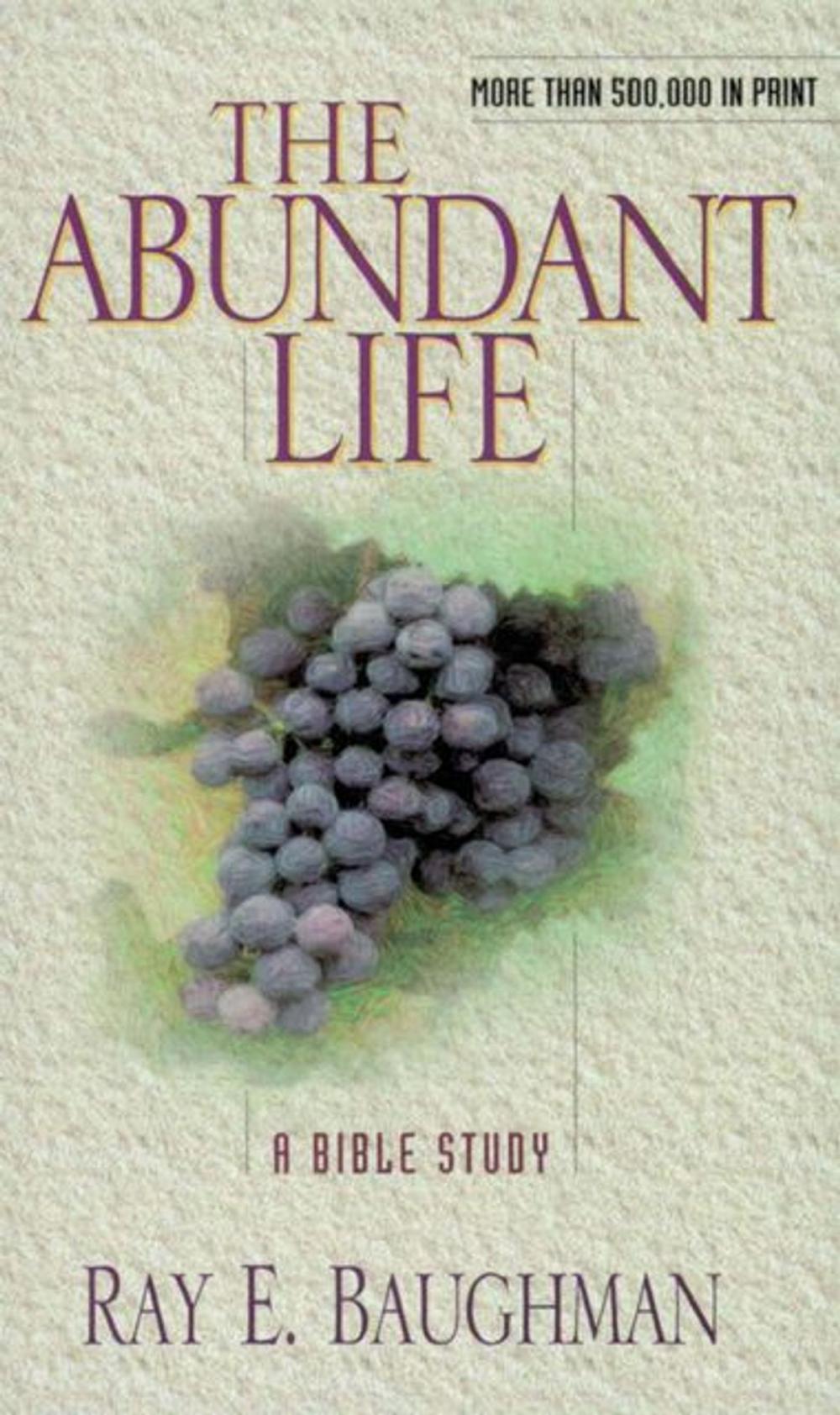 Big bigCover of The Abundant Life