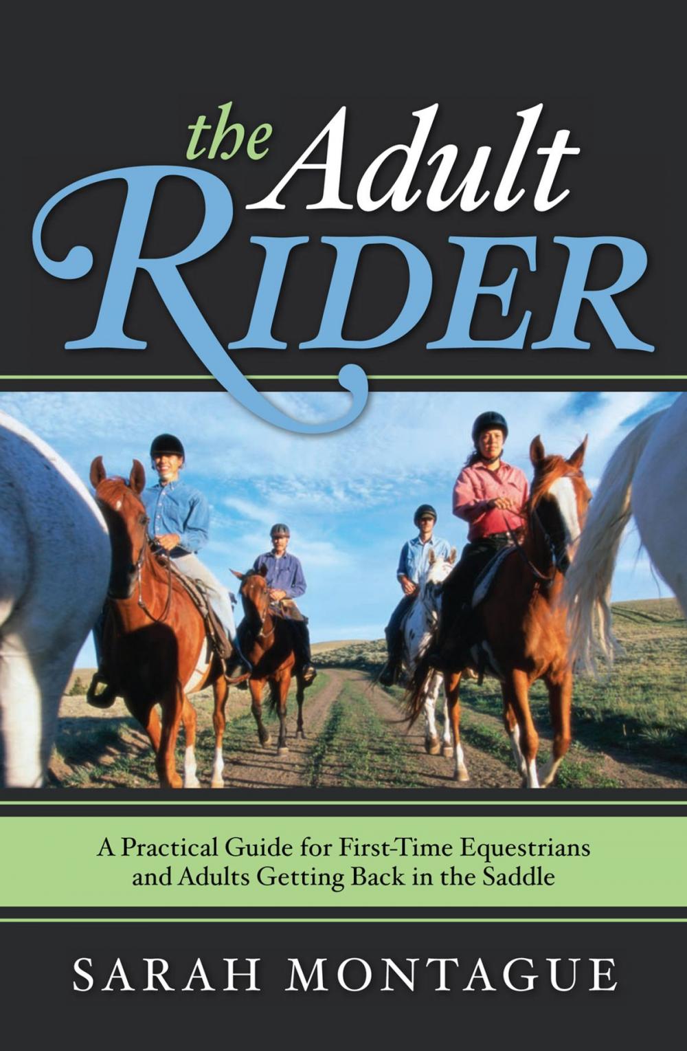 Big bigCover of The Adult Rider