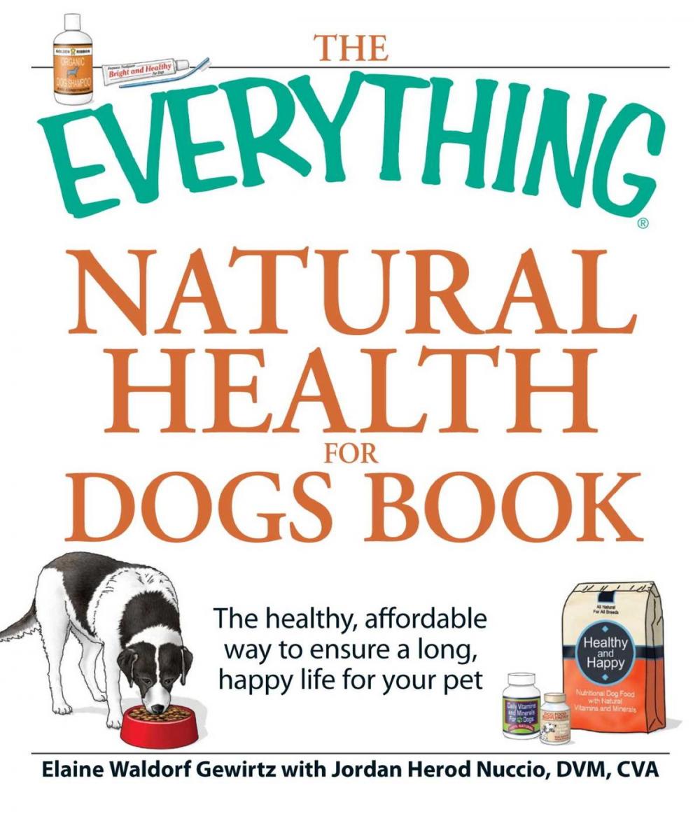 Big bigCover of The Everything Natural Health for Dogs Book