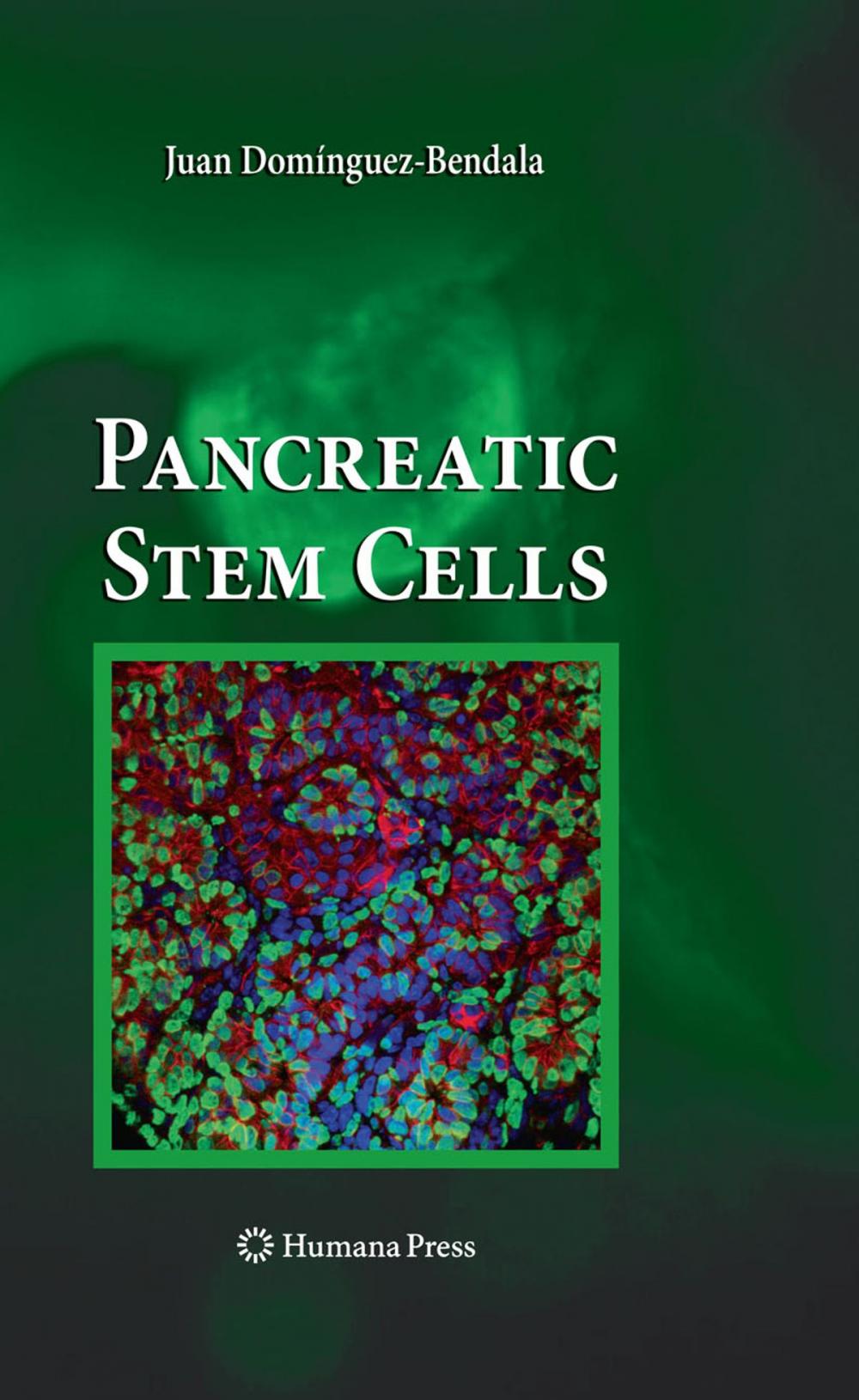 Big bigCover of Pancreatic Stem Cells