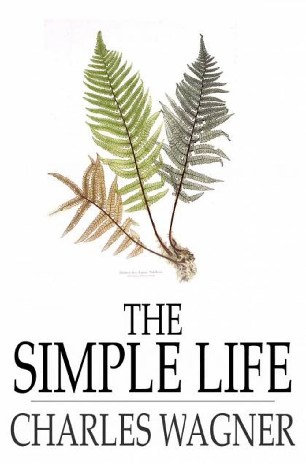 Big bigCover of The Simple Life