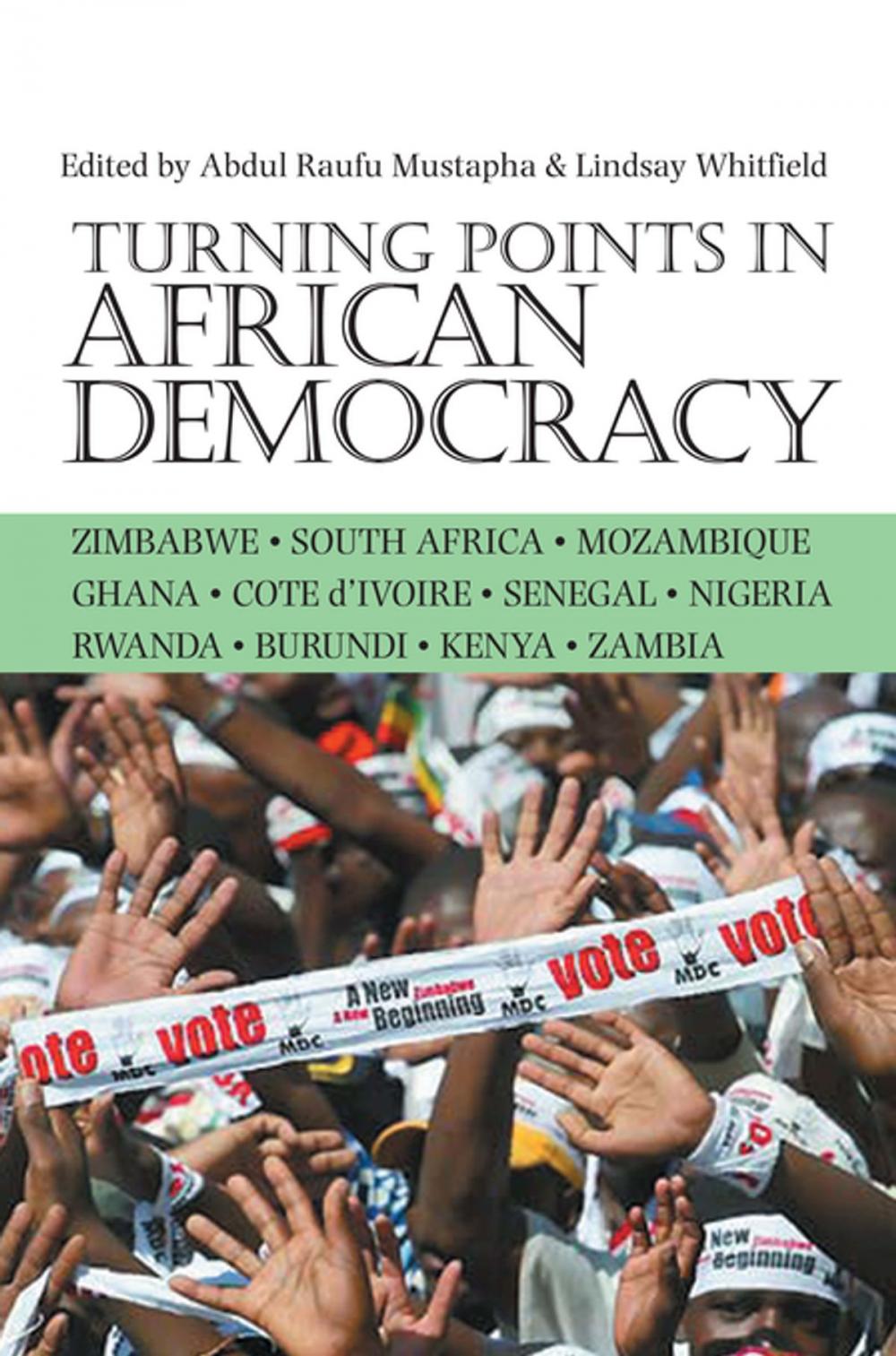 Big bigCover of Turning Points in African Democracy