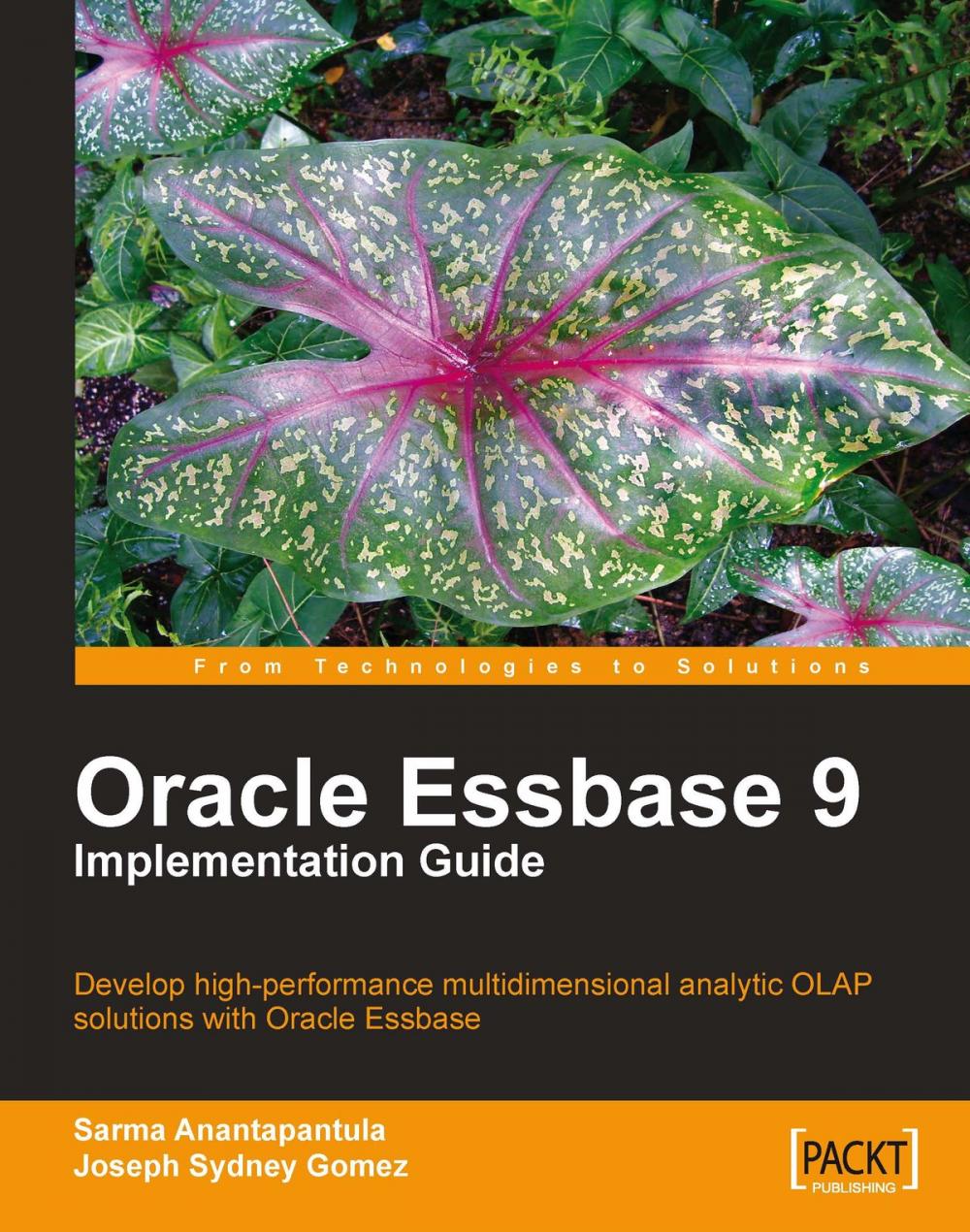 Big bigCover of Oracle Essbase 9 Implementation Guide