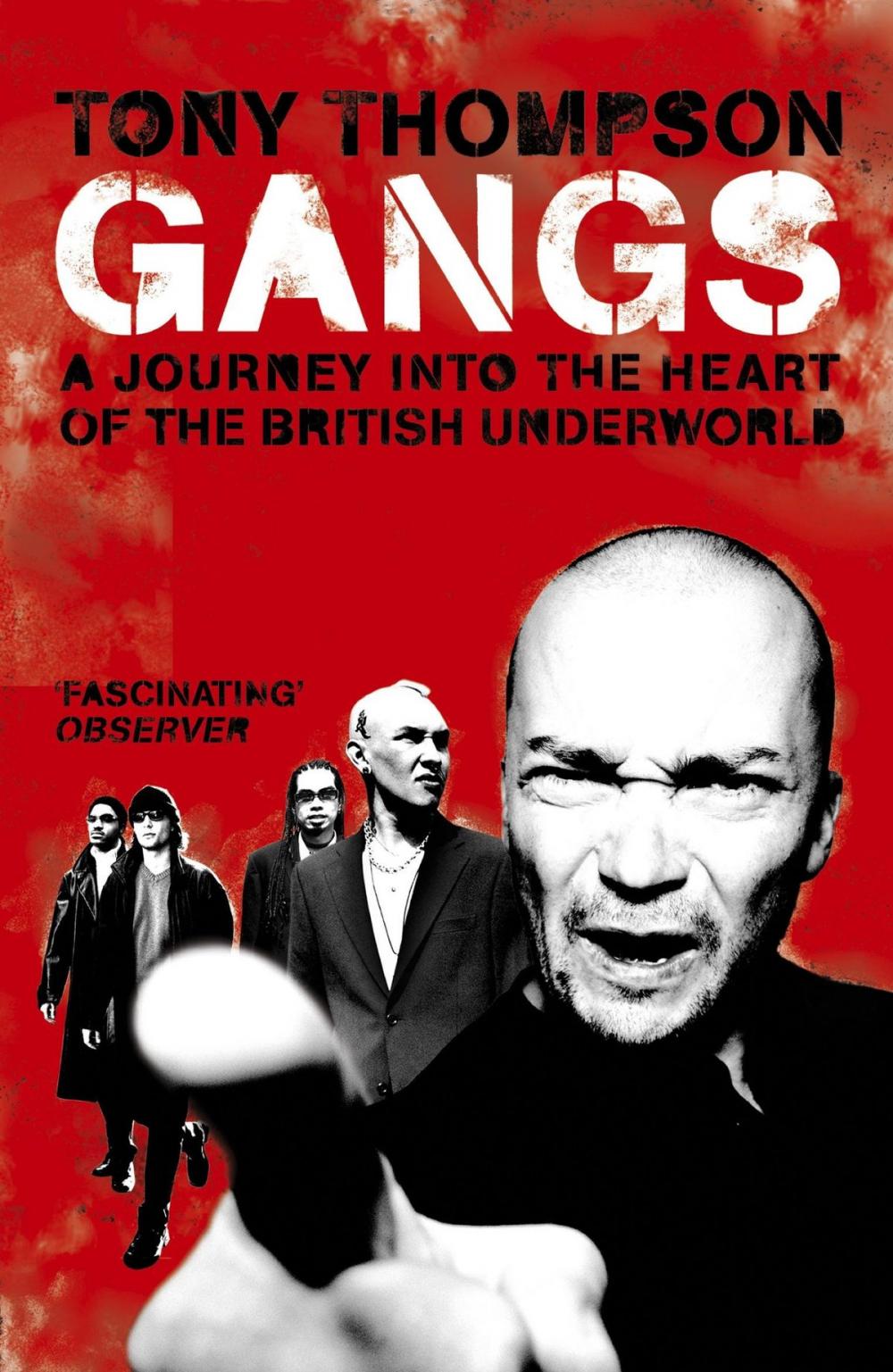 Big bigCover of Gangs