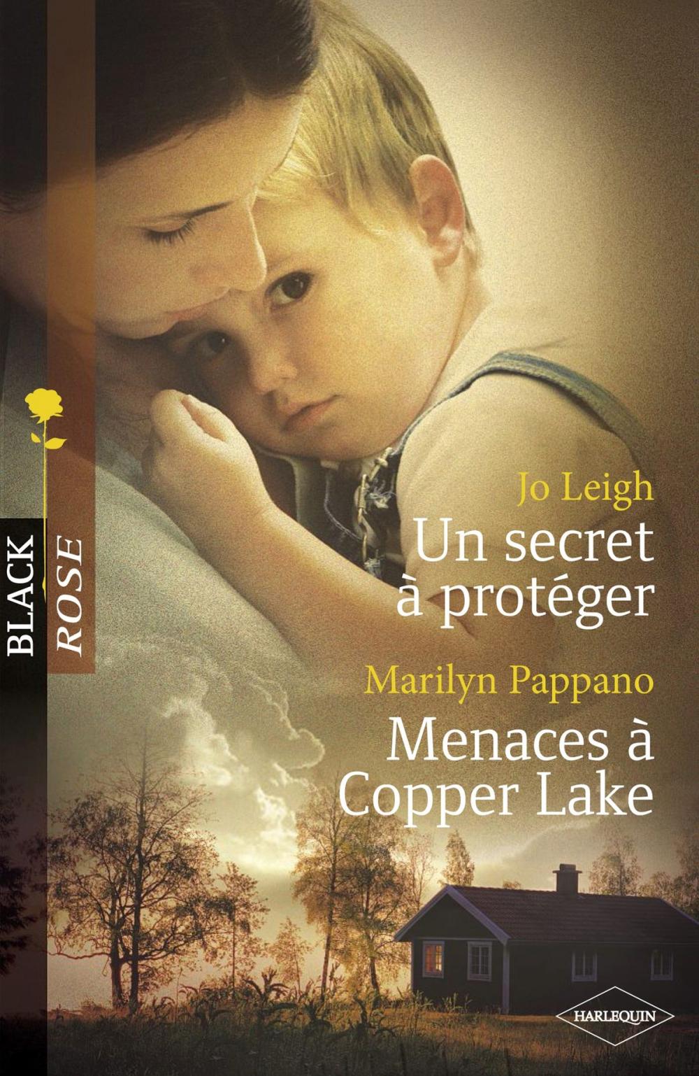 Big bigCover of Un secret à protéger - Menaces à Copper Lake (Harlequin Black Rose)