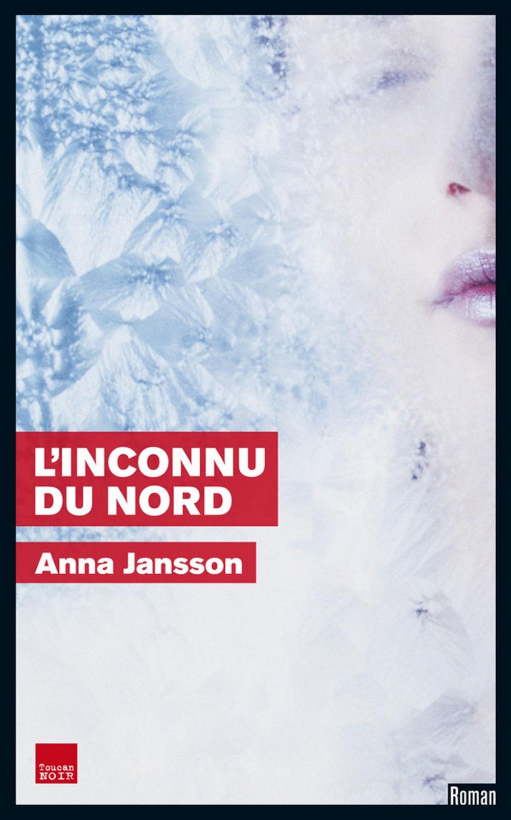 Big bigCover of L'Inconnu du Nord