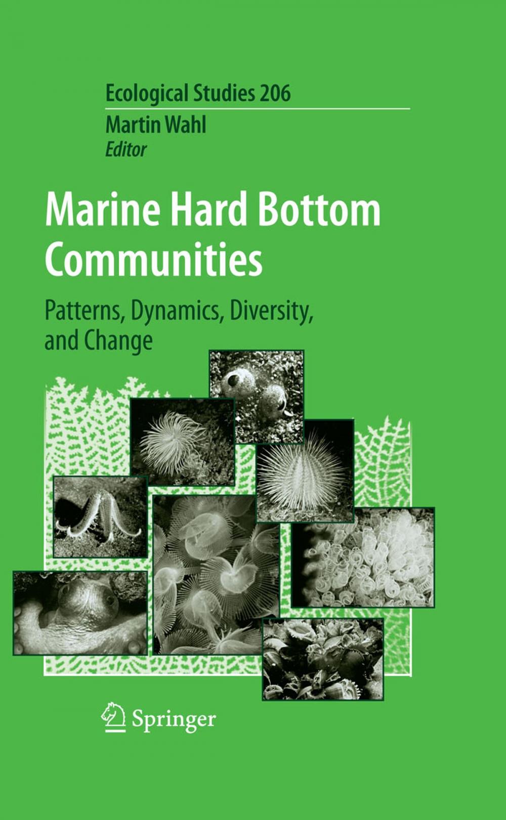 Big bigCover of Marine Hard Bottom Communities