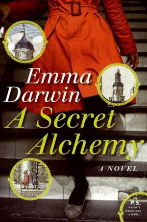 Cover of the book A Secret Alchemy by Scott Heim