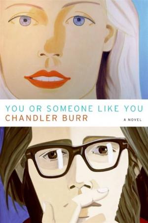 Cover of the book You or Someone Like You by David Amsden