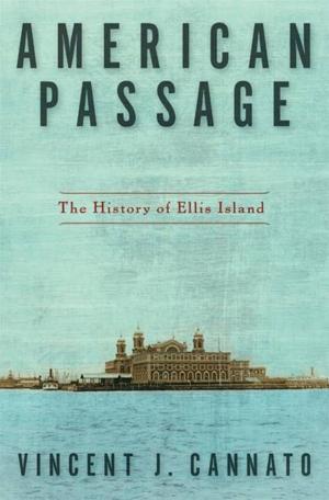 Cover of the book American Passage by Marisa de los Santos, David Teague