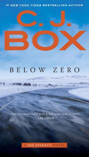 Cover of the book Below Zero by Bethany Maines