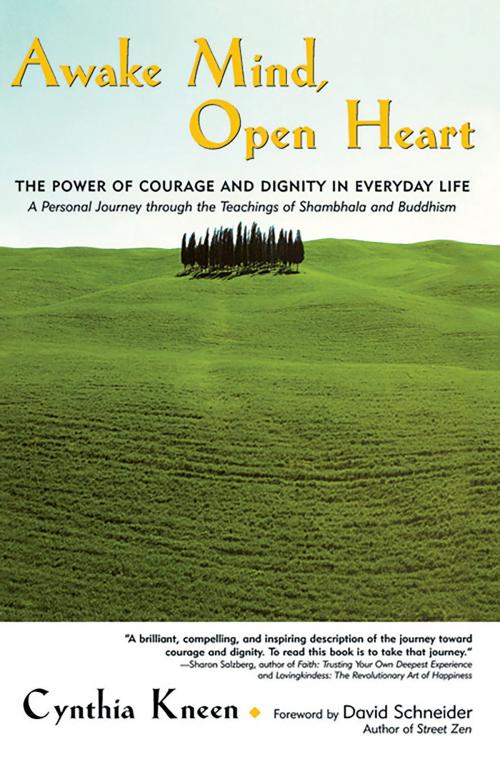 Cover of the book Awake Mind, Open Heart by Cynthia Kneen, Hachette Books