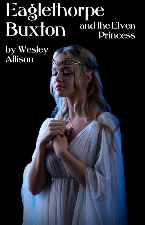 Cover of the book Eaglethorpe Buxton and the Elven Princess by Wesley Allison, Wesley Allison