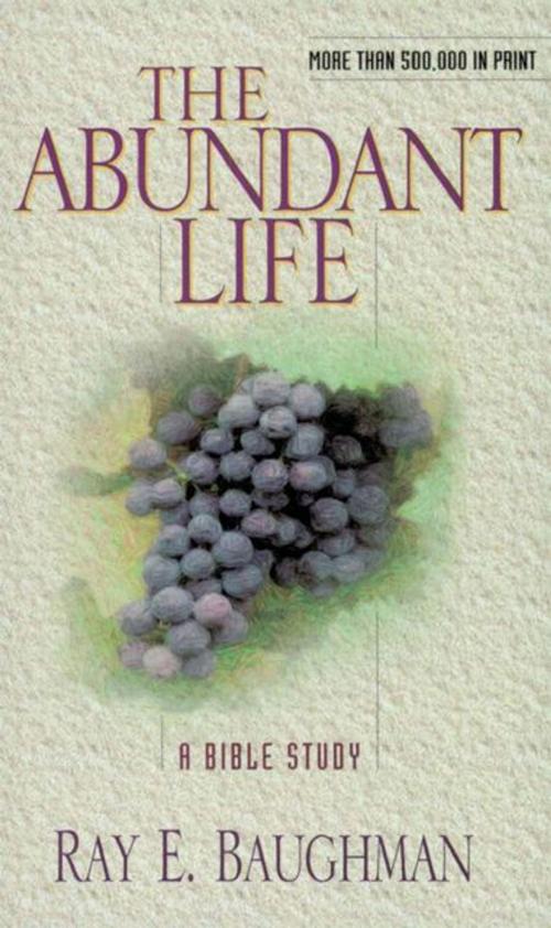 Cover of the book The Abundant Life by Ray E. Baughman, Moody Publishers