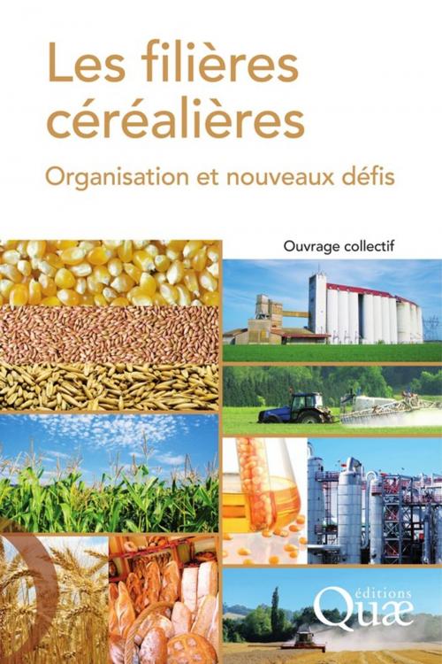 Cover of the book Les filières céréalières by Jacques-Éric Bergez, Joël Abecassis, Quae