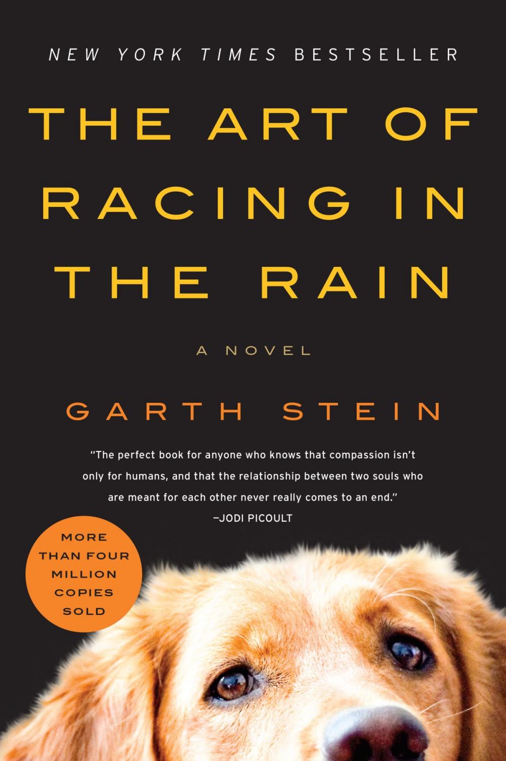 Big bigCover of The Art of Racing in the Rain