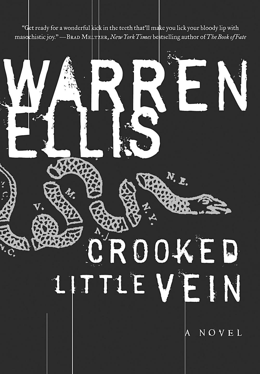 Big bigCover of Crooked Little Vein