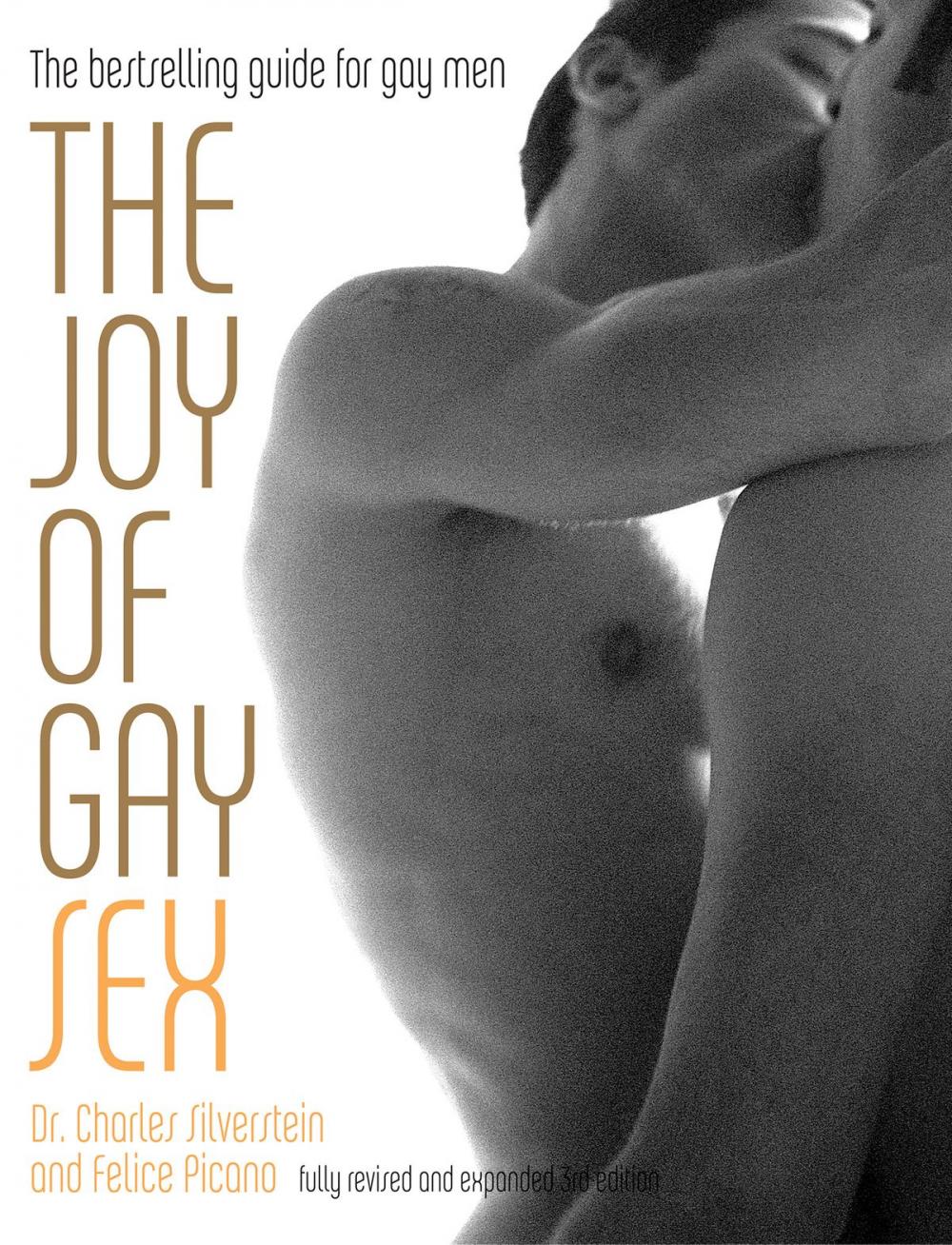 Big bigCover of The Joy of Gay Sex