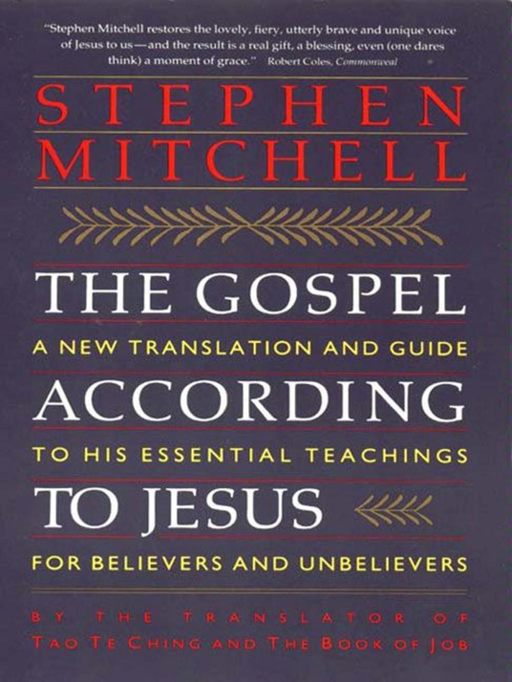 Big bigCover of The Gospel According to Jesus