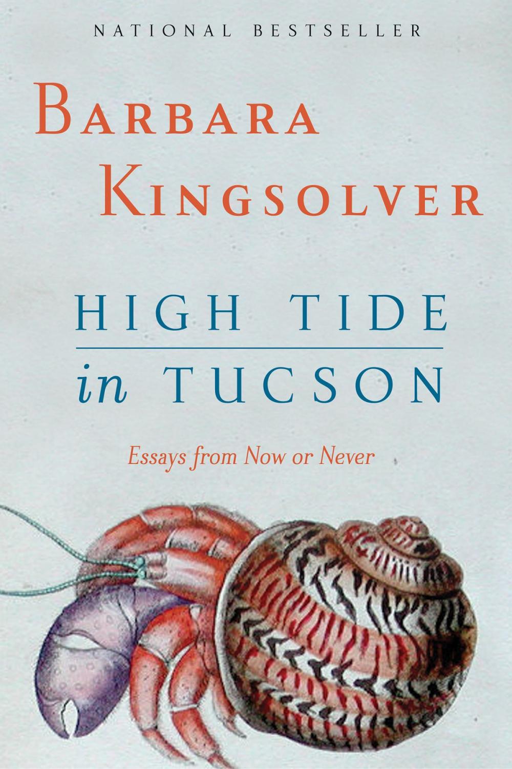 Big bigCover of High Tide in Tucson