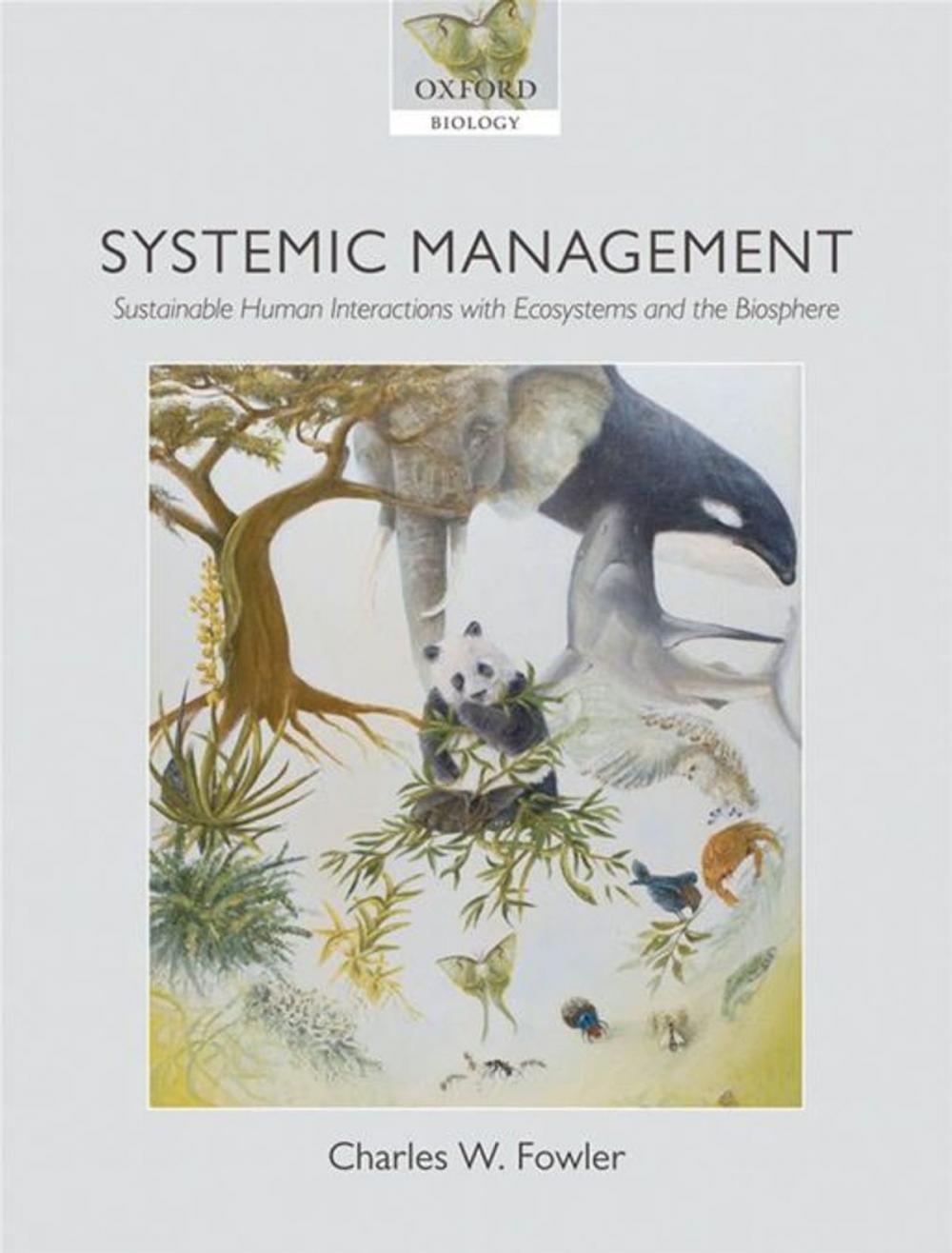 Big bigCover of Systemic Management