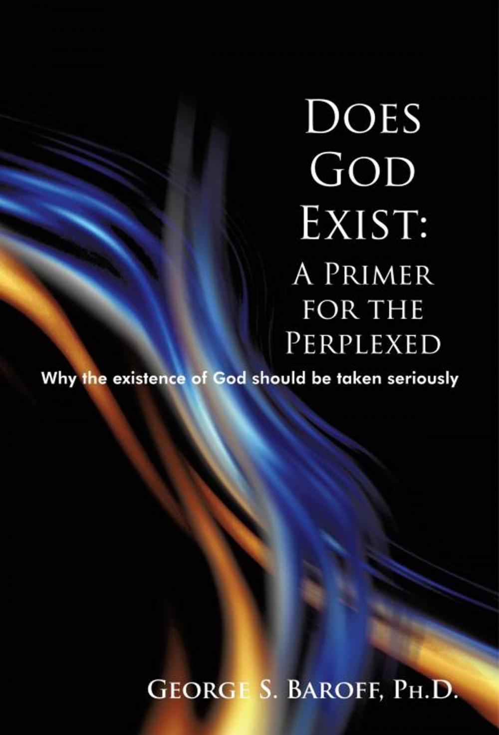 Big bigCover of Does God Exist: a Primer for the Perplexed