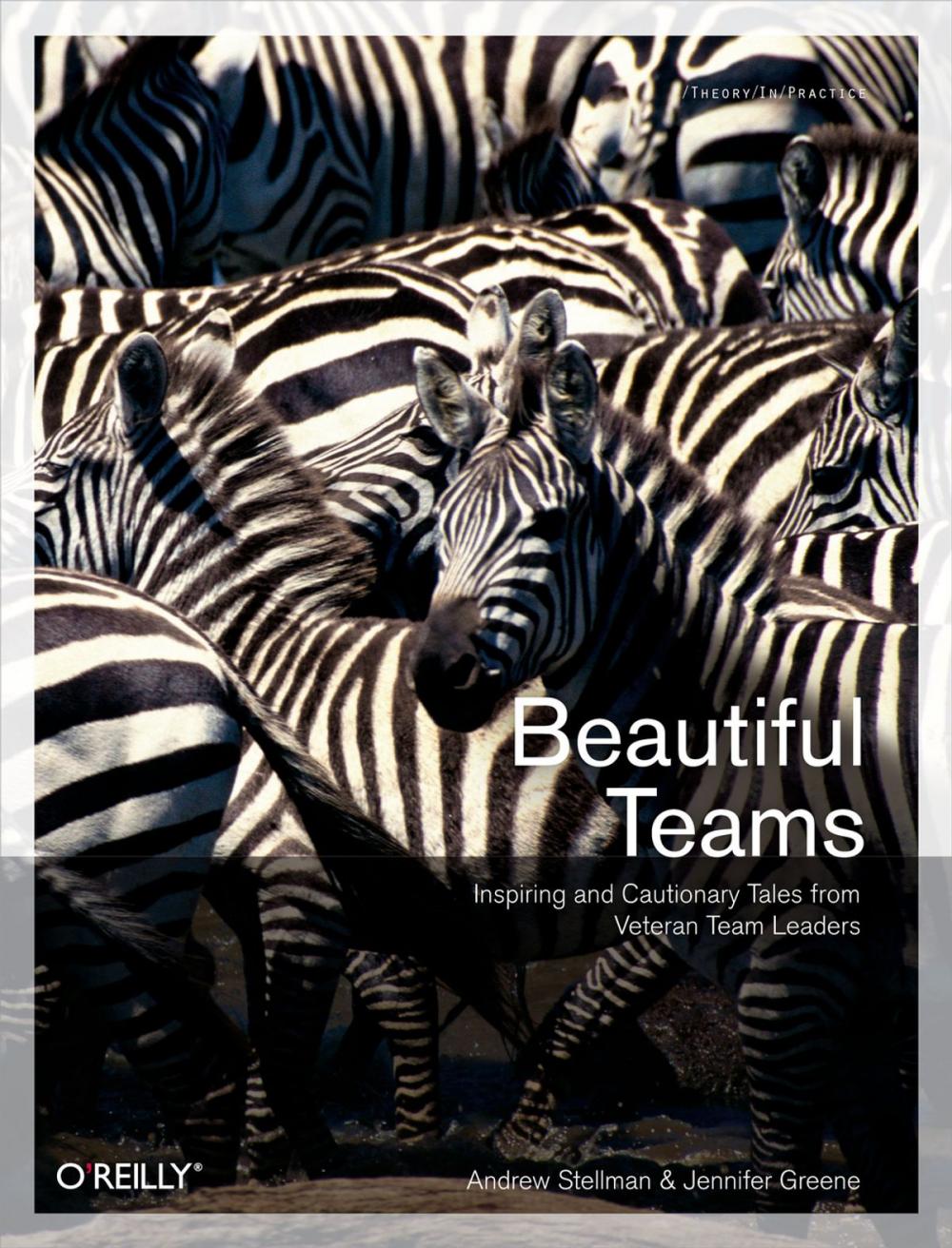 Big bigCover of Beautiful Teams