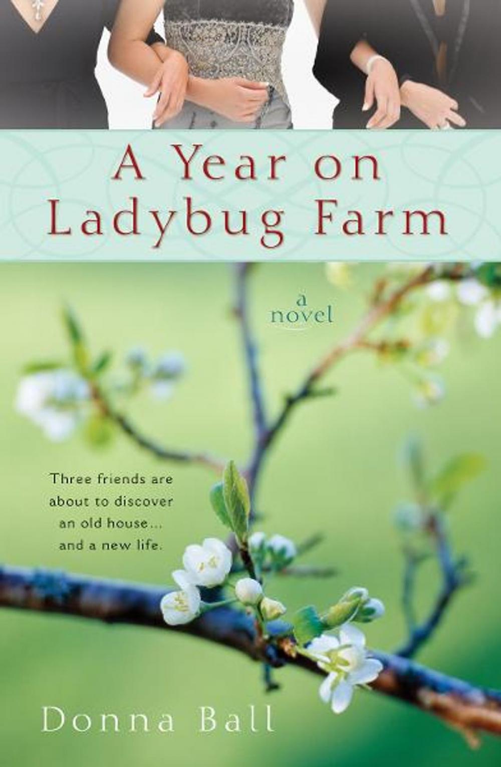 Big bigCover of A Year on Ladybug Farm