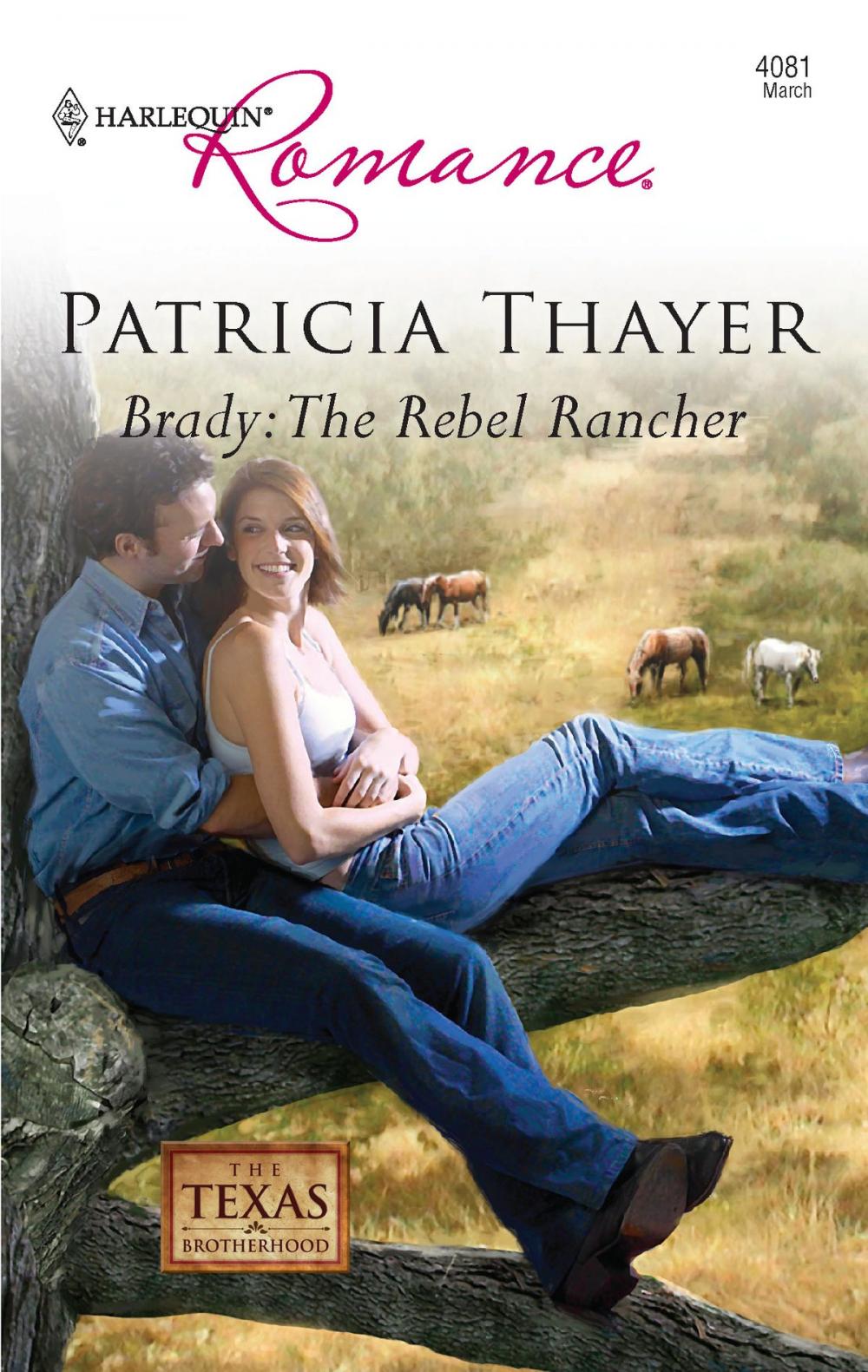 Big bigCover of Brady: The Rebel Rancher