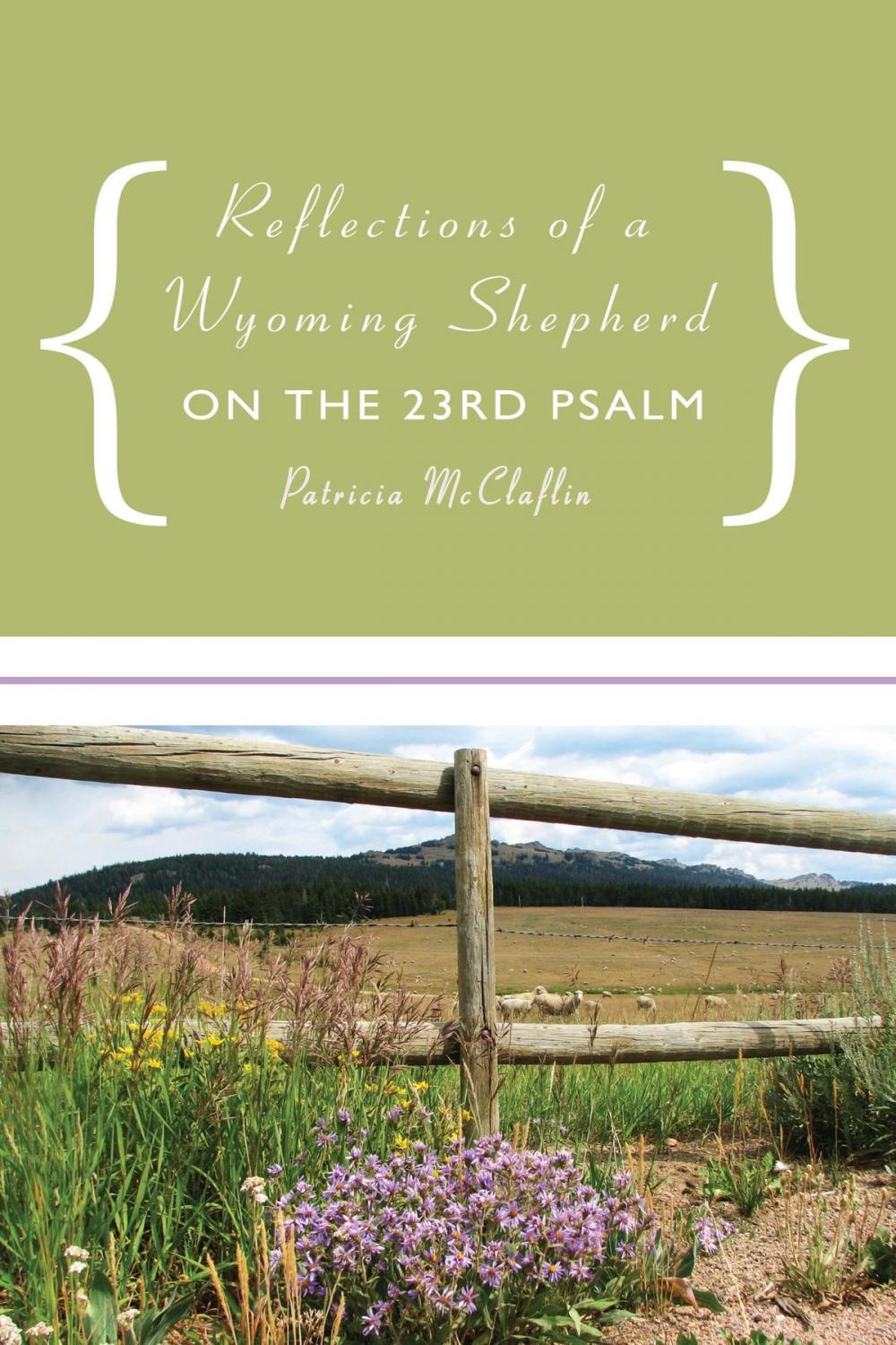 Big bigCover of Reflections of a Wyoming Shepherd on the 23Rd Psalm