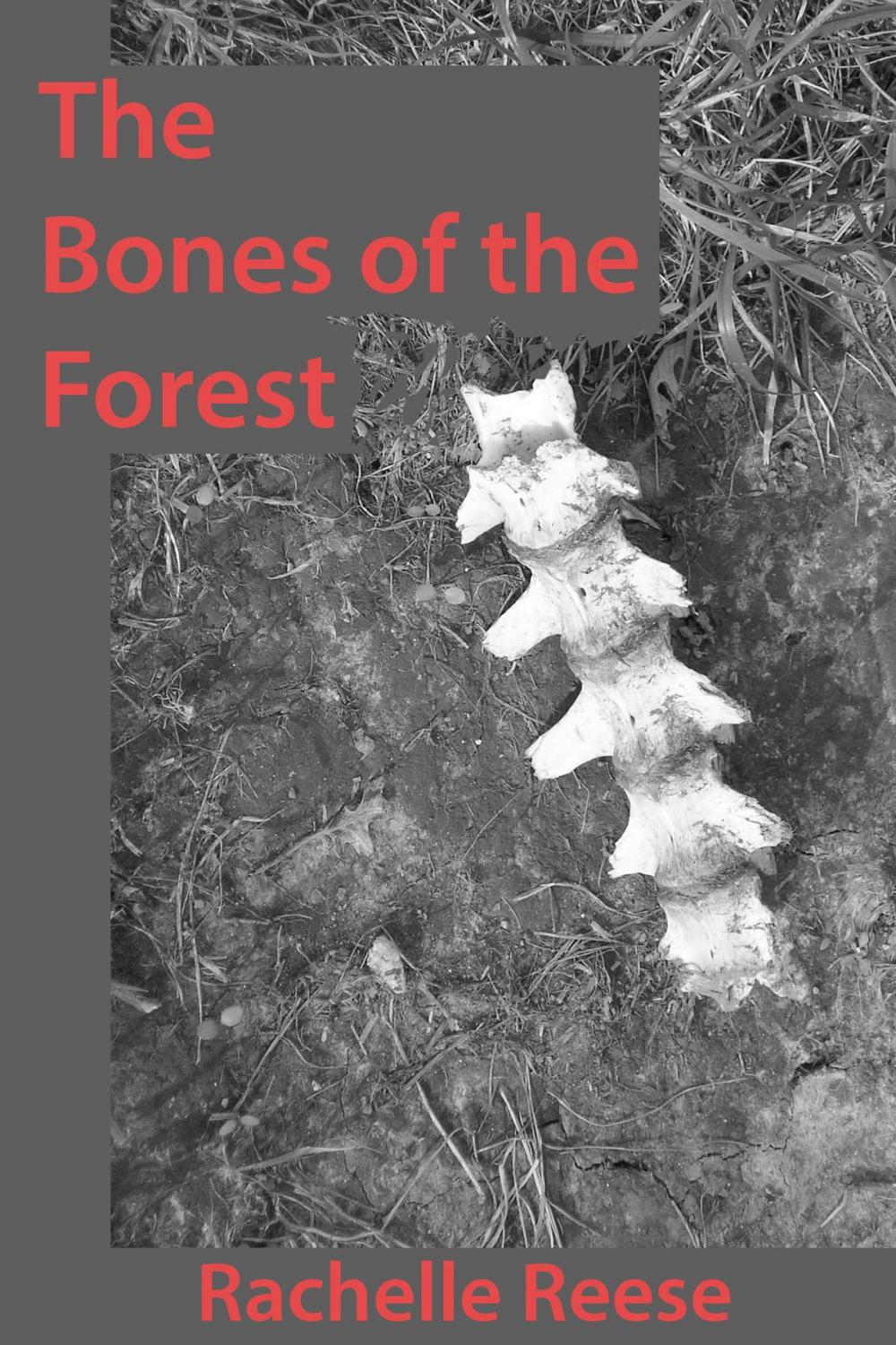 Big bigCover of The Bones of the Forest