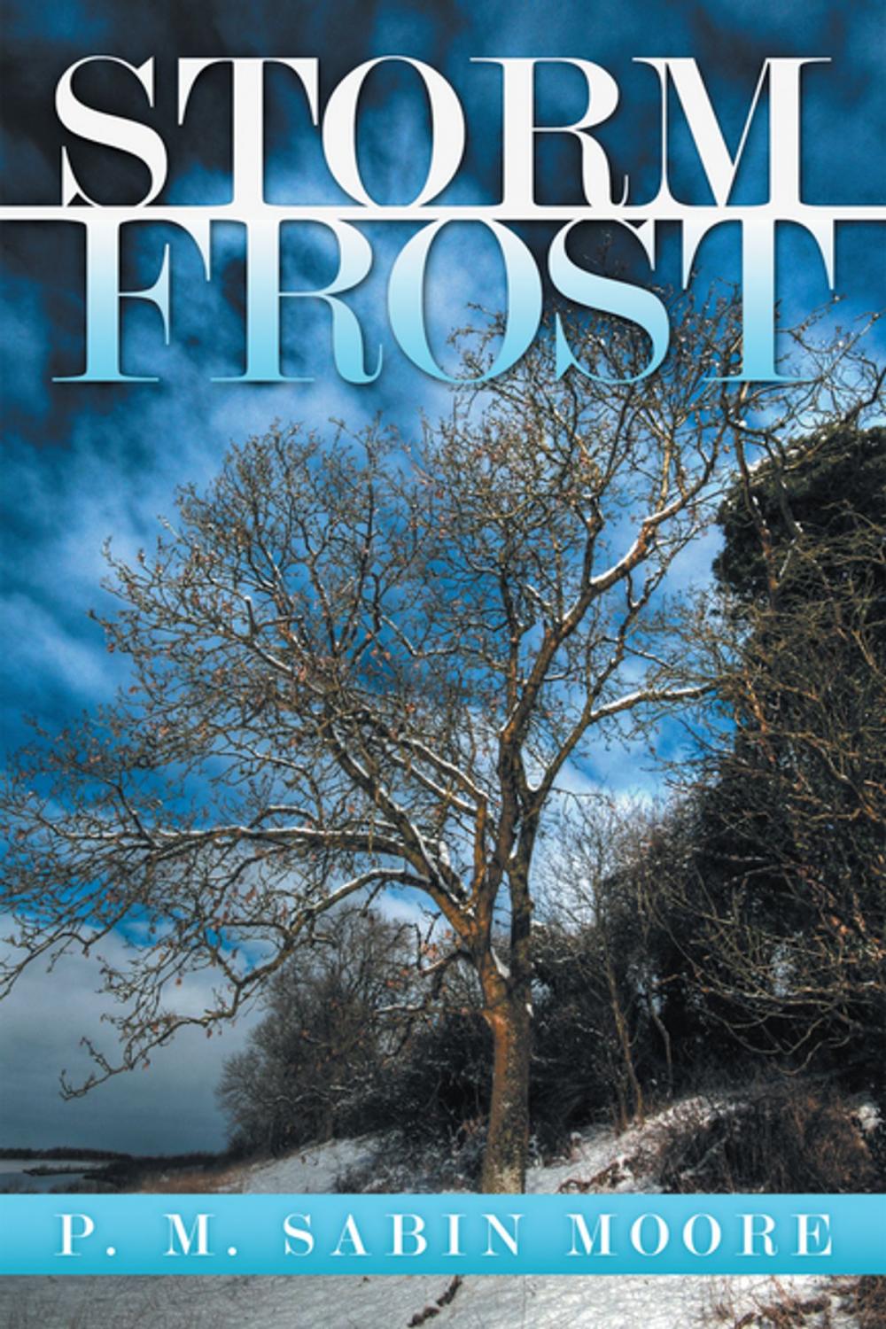 Big bigCover of Storm Frost